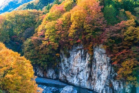 鬼怒川 楓葉