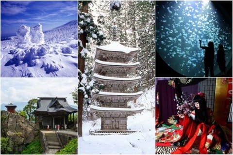 5 Discounted Passes For Tokyo Day Trips