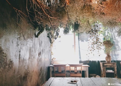 【京都咖啡】以CAFE爲行程中心的一日散步地圖
