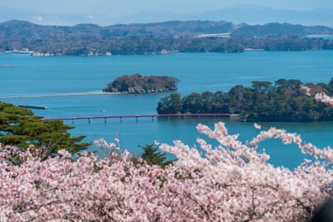 Miyagi Travel Guide