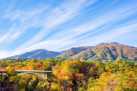 Miyagi Travel Guide