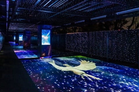 TWINKLE TUNNEL