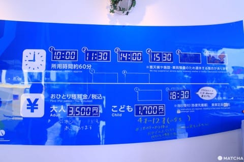 海を走るバス「スカイダック」で横浜観光のいいとこどり!