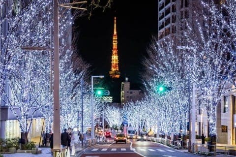 2019六本木 櫸樹坂點燈活動