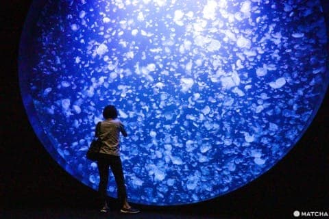 山形でやりたい15のこと~銀山溫泉、蔵王の絶景、クラゲ水族館、グルメなど~