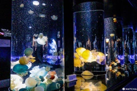 山形でやりたい15のこと~銀山溫泉、蔵王の絶景、クラゲ水族館、グルメなど~