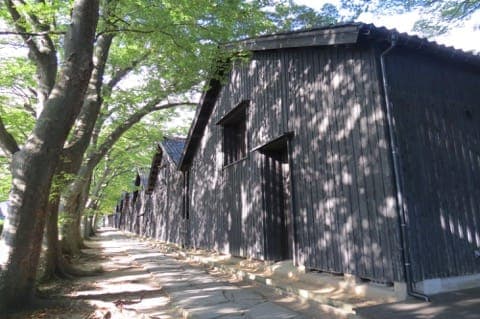 山形でやりたい15のこと~銀山溫泉、蔵王の絶景、クラゲ水族館、グルメなど~