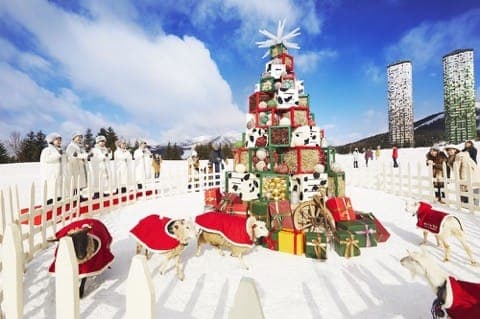 冬の催しも充実!星野リゾートで楽しむ雪景色