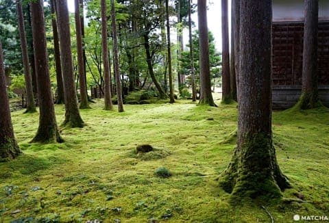 koke no sato