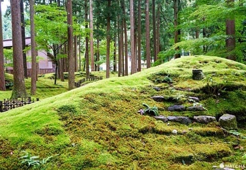 koke no sato