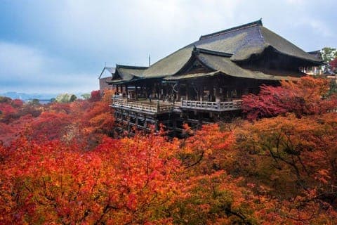 清水寺 楓葉