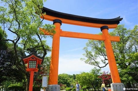 Usa Jingu Torii