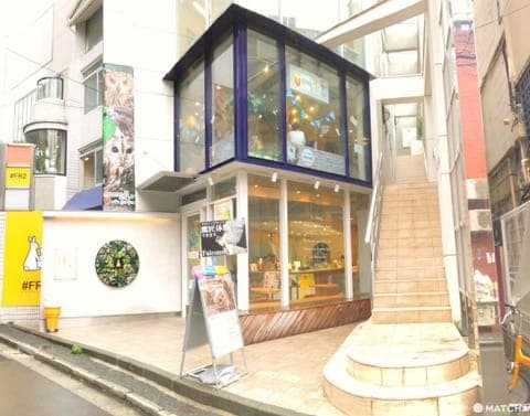 原宿で猛禽類と触れあえる「フクロウのお庭」
