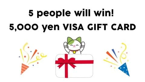 Survey on Japan Travel 2019