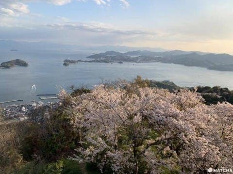积善山展望台