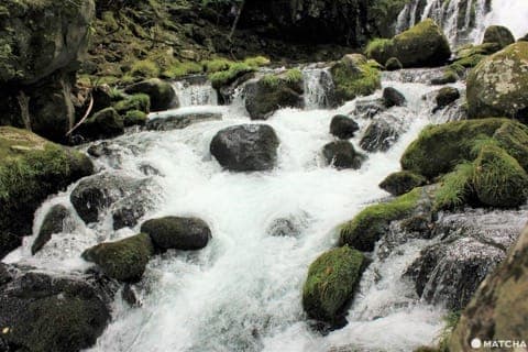 蓼科大滝