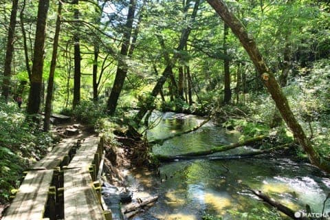 奥日光沿着汤川前进的步道