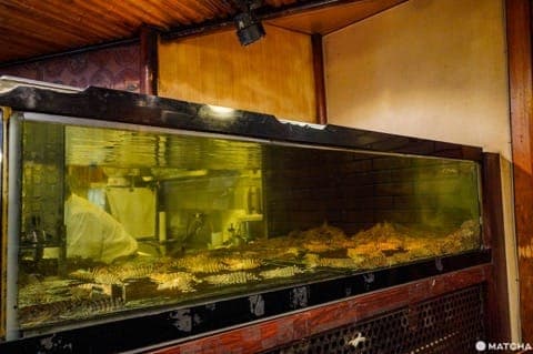 东京美食_天丼_天妇罗定食_天妇罗新宿つな八