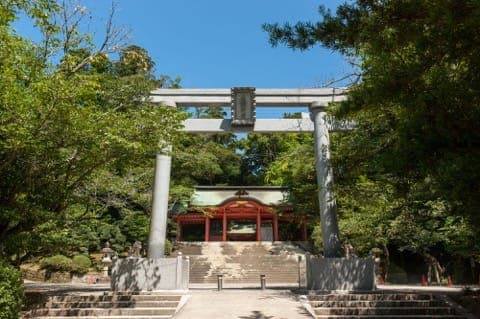 東京から日帰りOK!人気のテーマパークや絶景スポット、海の幸など、知ってるようで知らない千葉の魅力やアクセス総まとめ!