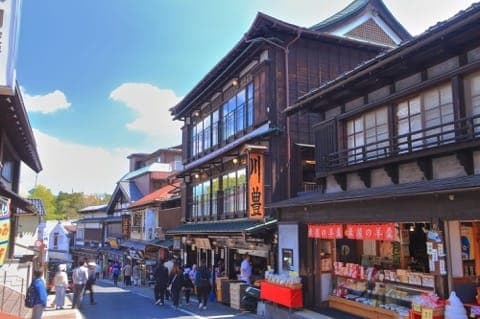 東京から日帰りOK!人気のテーマパークや絶景スポット、海の幸など、知ってるようで知らない千葉の魅力やアクセス総まとめ!