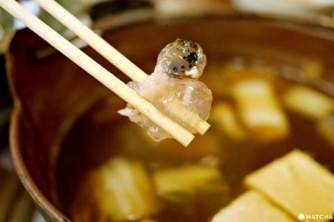 鮟鱇魚