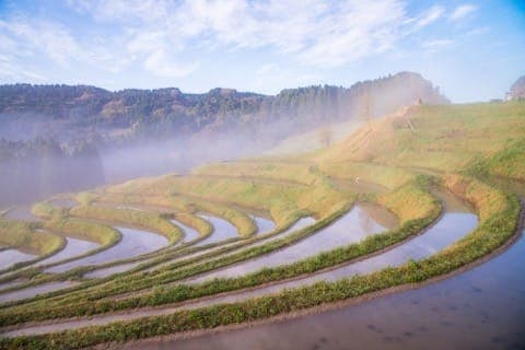 大山千枚田