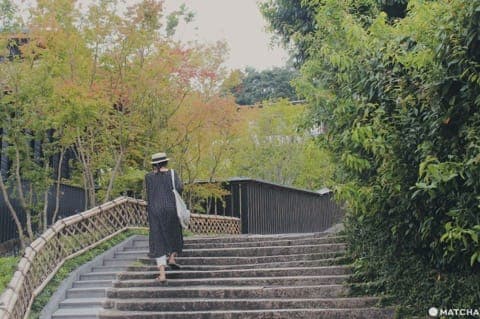 茂庵