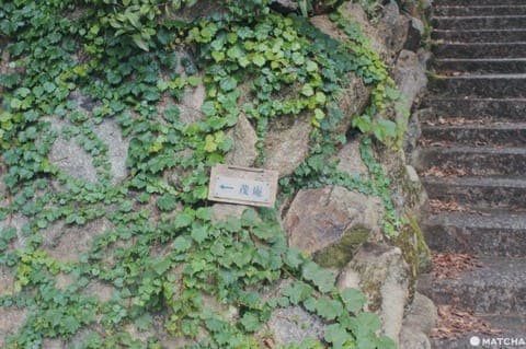 京都茂庵