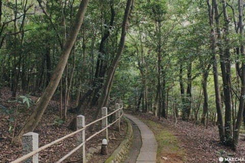 京都茂庵