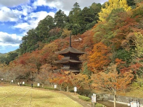 金剛院