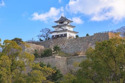 丸龜城