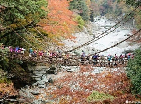 祖谷葛藤橋