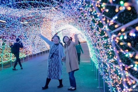 ジェットコースターで宝石の中を駆け巡る!?東京「よみうりランド」の体験型イルミネーション