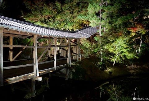 kodaiji temple