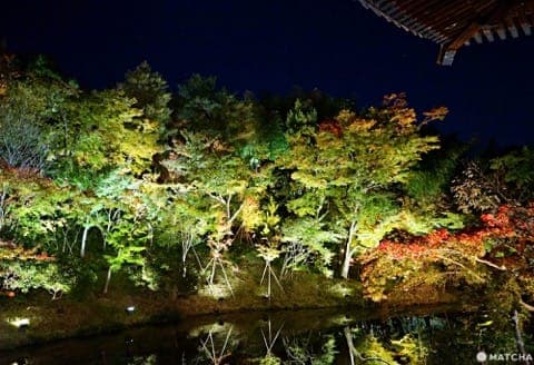 kodaiji temple