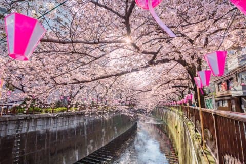目黑川