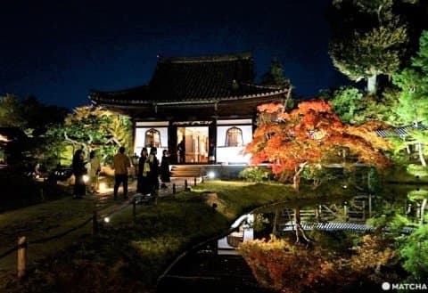 Kodaiji Temple Fall 2019 - See Kyoto's Dazzling Autumn Scenes At Night!
