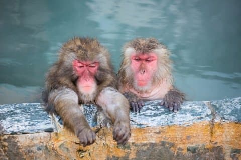 Bath Culture In Japan: What Every Visitor Should Know Ahead Of Time