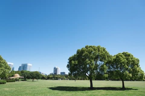 東京近郊のレジャースポット!千葉県・海浜幕張エリアでできる5つのこと