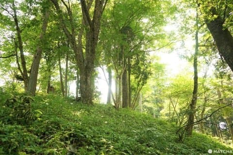 The Rock Garden On Mt. Mitake - Listen To A Mountain Stream In Tokyo