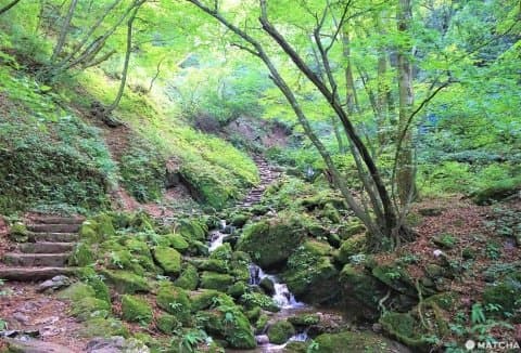 The Rock Garden On Mt. Mitake - Listen To A Mountain Stream In Tokyo