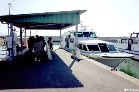 寶傳港