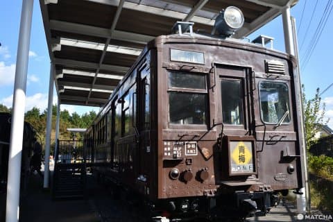 青梅鐵道公園クモハ40車廂
