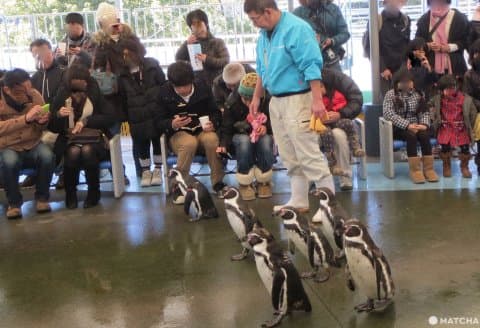 鳥羽水族館