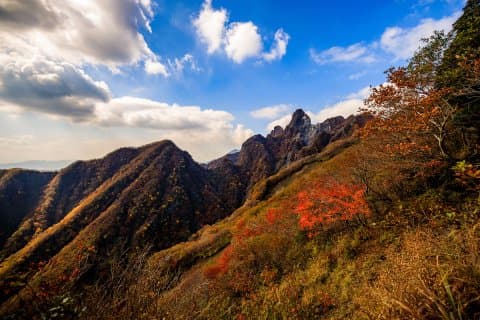 連日本人也不知道!?熊本縣的10大之美