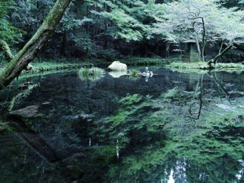 連日本人也不知道!?熊本線的10大之美