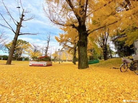 連日本人也不知道!?熊本縣的7大之美