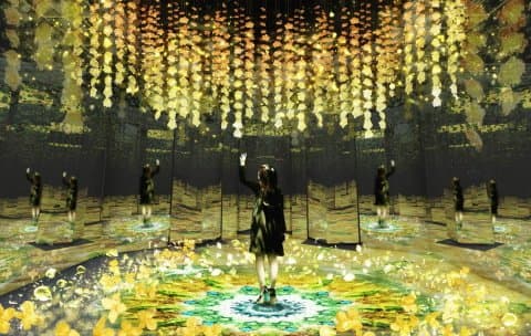 2020「 FLOWERS BY NAKED」日本桥绚烂光雕秀