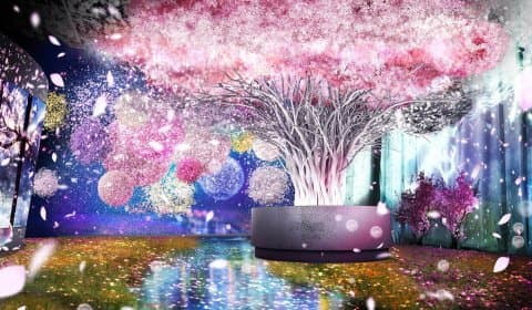 「FLOWERS BY NAKED」日本桥绚烂光雕秀