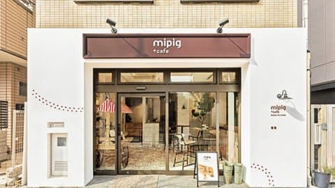 日本超人气「小猪Cafe」原宿开新分店!只需要1000日圆就可以跟小猪玩 超治愈~